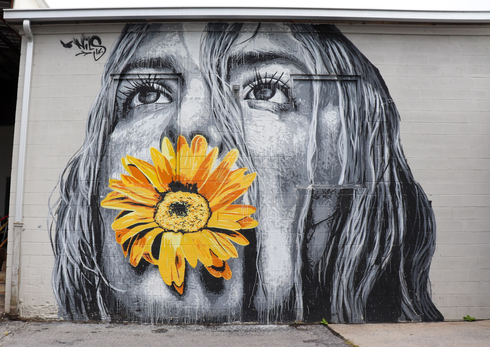 The street and public art of Waynesboro